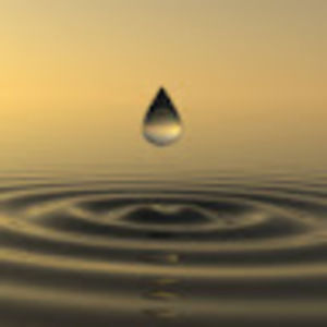 Meet your Posher, Salim